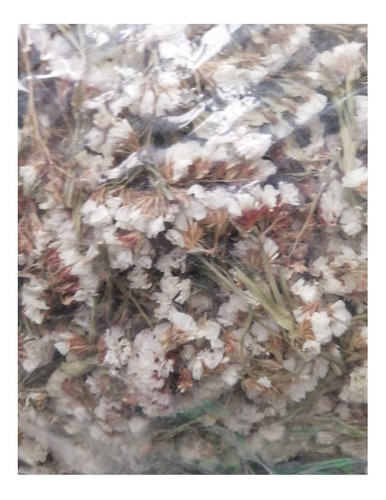 Imagen 1 de 1 de 1/2 Kilo De Flor Siempreviva Blanca Seca (+1000 Flores)