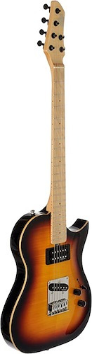 Guitarra Electrica Tipo Telecaster Eko Terostd 