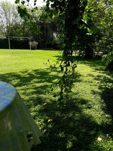 Imagen 5 de 14 de Alquiler Quinta Zona Sur