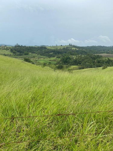 Imagem 4 de 30 de G06-lotes Para Morar Com Sua Família Em Jacareí