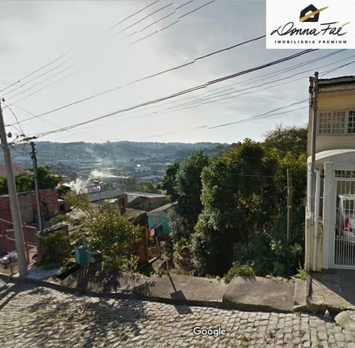 Imagem 2 de 3 de Terreno Residencial - Bairro Universitário - Ter-r00442