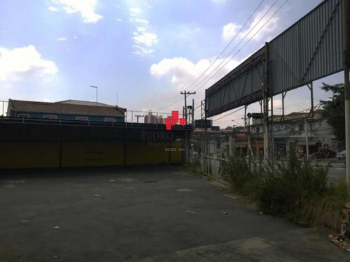 Imagem 10 de 10 de Terreno 1300 M² Na Penha. - Pe19585