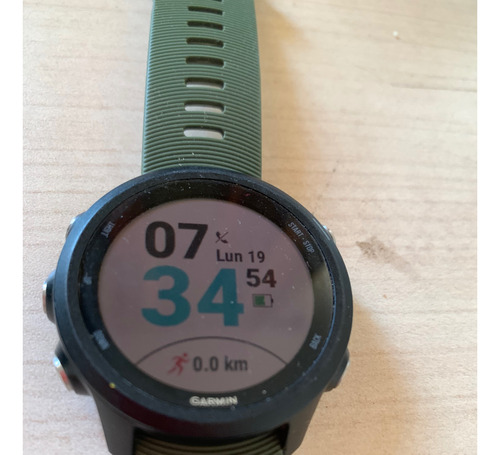 Garmin Forerunner 245