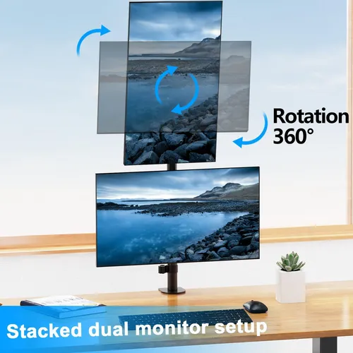 Soporte De Monitor Dual Vertical Ergofocus, Montaje Del Para
