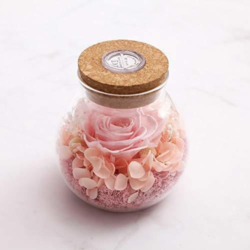 Forever Pink Rose, Preserved Eternal Real Flower Presen