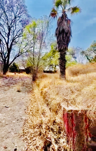 Terreno Venta Para Desarrollo Residencial, Comercial, Equipamiento O Empresarial