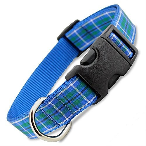 Tartan Perro Collar Douglas Tartan Azul Mediano Perros 22 - 