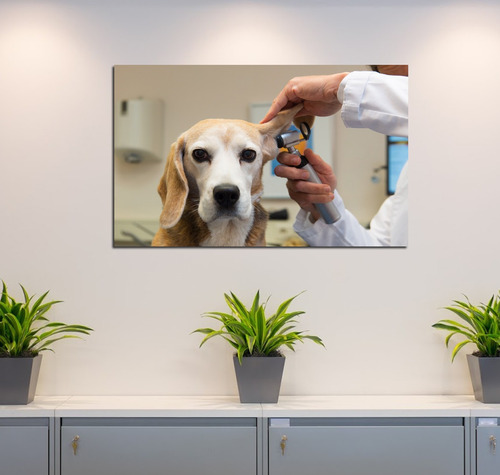 Cuadro 40x60cm Perro En Doctor Clinica Veterinaria Pet Shop