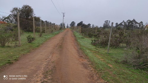 Imagen 11 de 13 de Terreno Con Hermosa Vista A La Bahía Algarrobo