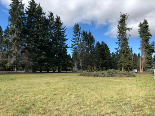 Imagen 13 de 19 de Lotes Con Vista Y Costa De Lago Zona Este Bariloche