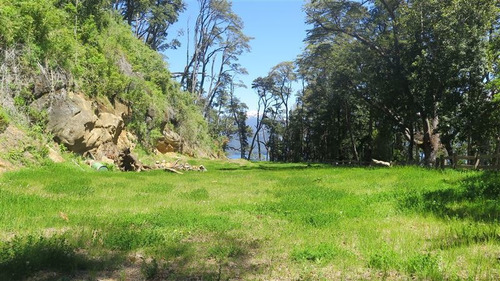 Imagen 29 de 30 de Agrícola En Venta En Puerto Montt