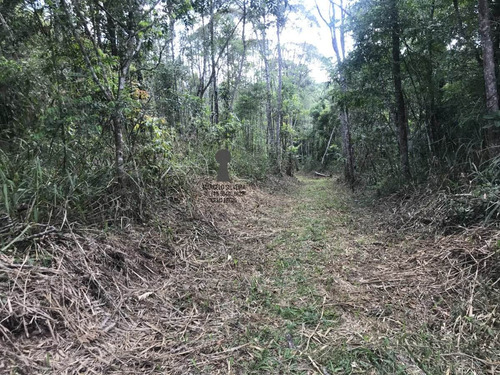 Chácara A Venda No Bairro Centro Em Bocaiúva Do Sul - Pr. - 486-1
