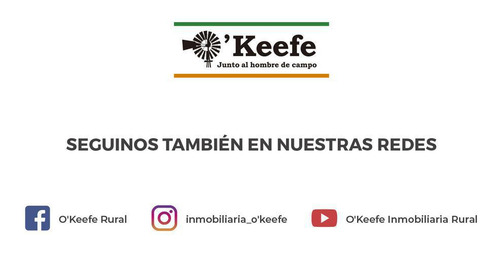 Imagen 17 de 17 de Chacra / Fracción En Venta En Patagonia Argentina - 12 Has Sobre Rio - Fly Fishing Pesca Con Mosca.