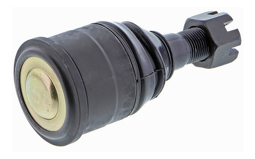 Rotula B100 B150 B200 B250 D100 Inferior Drgb