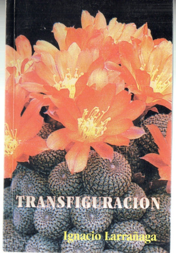 Transfiguración. Ignacio Larrañaga 