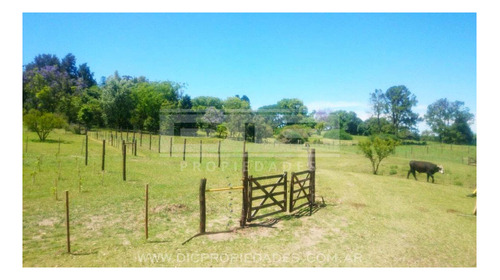 Imagen 26 de 29 de Casa 6 Ambientes En Campo De 3 Hectareas Piscina Quincho En Victoria Prov. De Entre Rios