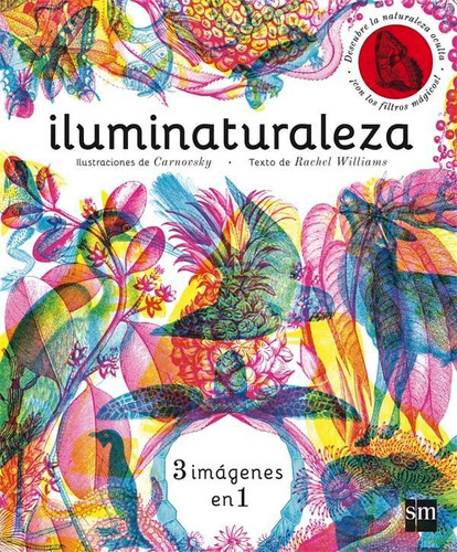 Iluminaturaleza, De Williams, Rachel. Editorial Ediciones Sm, Tapa Dura En Español