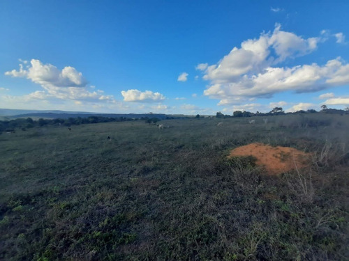 Imagem 13 de 27 de Fazenda Com 377 Tarefas Em Morro Do Chapéu - Bahia - Afd015 - 70334233