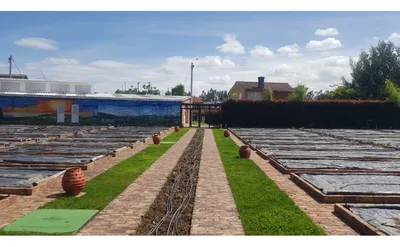 Finca en venta