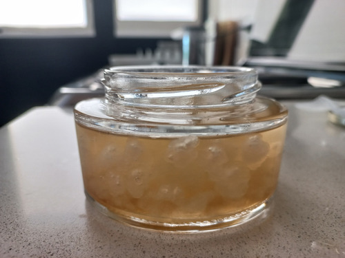 Nodulos De Kefir De Agua Tibicos