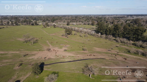 Lote En Venta En Barrio Cerrado Estancia San Juan Pereyra Iraola Hudson Berazategui
