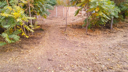Imagen 12 de 13 de Terreno 1.000m2 Con Proyecto Aprobado En Neuquén Capital