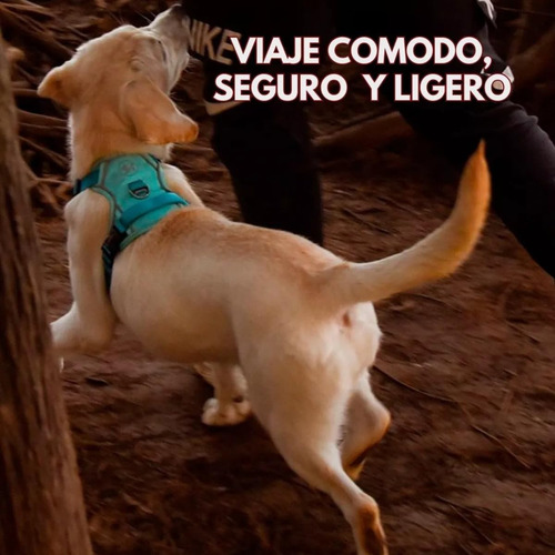 Pechera Arnés Ajustable Reforzada Para Perros Medianos Y