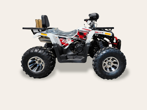 Imagen 6 de 20 de Tao Motor Hunter 250