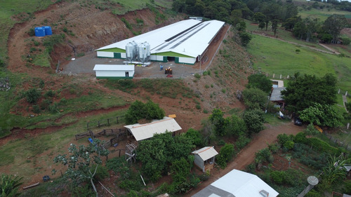 Sítio Com Aviários A Venda