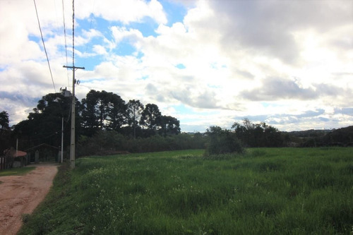Imagem 10 de 13 de Terreno À Venda, 2500 M² Por R$ 960.000,00 - Centro - Campo Magro/pr - Te0364