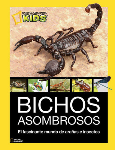 Bichos Asombrosos El Fascinante Mundo De Arañas E Insectos