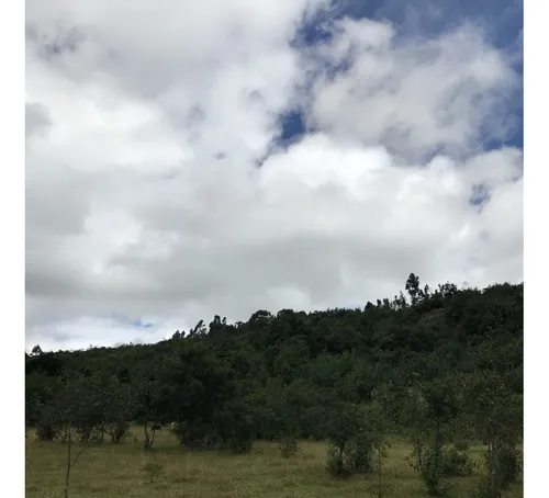 Magnífico Lote, Vereda Centro, Fúquene Cundinamarca