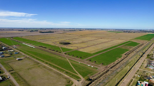 Imagen 11 de 18 de Terreno - Funes