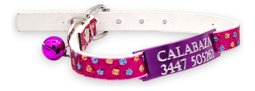 Combo Chapita Pasante + Collar Glamour Cat Violeta Pasacat