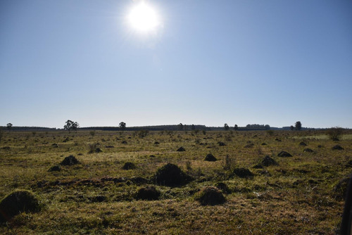 Imagen 9 de 22 de Campo Mixto En Venta Estación Yeruá