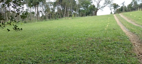 Imagem 14 de 27 de Juquitiba/chácara P/moradia Com Poço/ac/entrada + Parcelas + Auto/ref: 05359