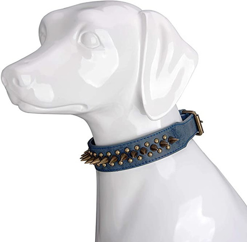 Collar Cuero Puas Protector Mascotas Pequeñas Perro Gato