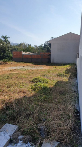 Imagem 7 de 7 de Terreno À Venda, 333 M² Por R$ 165.000,00 - Forquilhas - São José/sc - Te0234