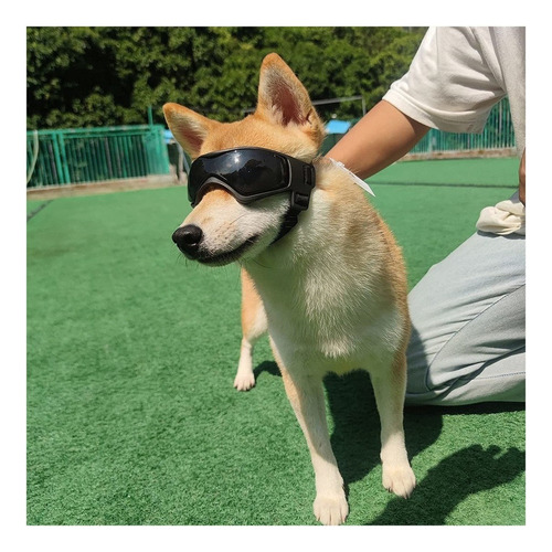 . Protective Glasses For Small And Medium Dogs Easy Wear