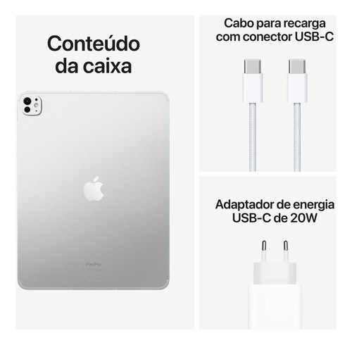 iPad Pro 13 Wi-fi + Cellular 2tb - Prateado