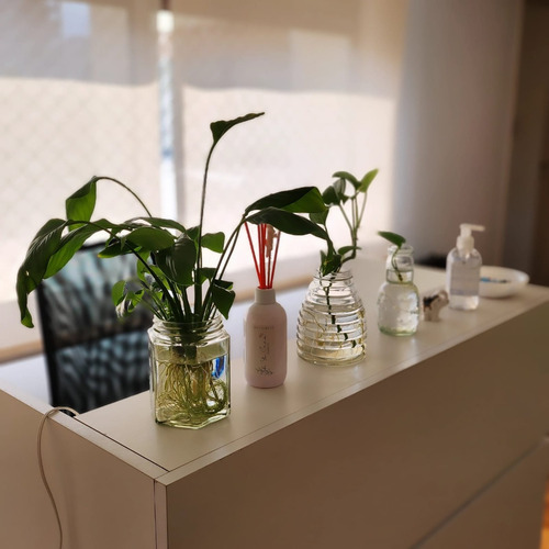Espacio De Trabajo Estudio Oficina Consultorio Coworking Home Office