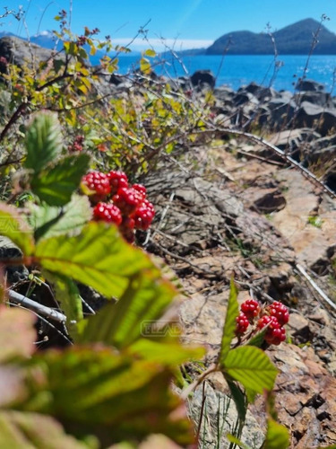 Imagen 21 de 29 de Terreno Lote En Venta Ubicado En Villa Campanario, Bariloche, Patagonia