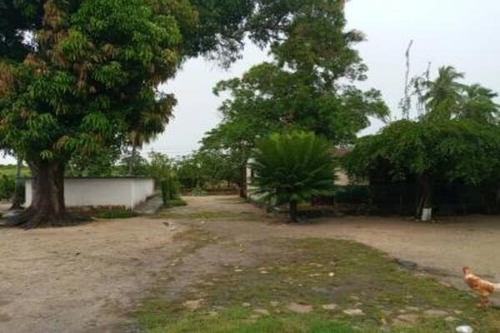Imagen 6 de 8 de Finca Venta Rio Negro Municipio Machiques De Perija Mdm