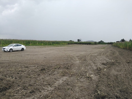 Imagen 3 de 8 de Oportunidad $50 Mil Pesos De Enganche O Pago En La Sola Excbicion Con Descuento. A 5 Minutos De Galerías Metepec.