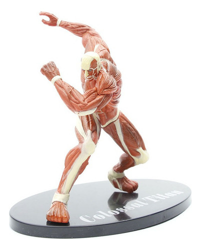 ( Attack On Titan O Titã Colossal Modelo Figura Brinquedo