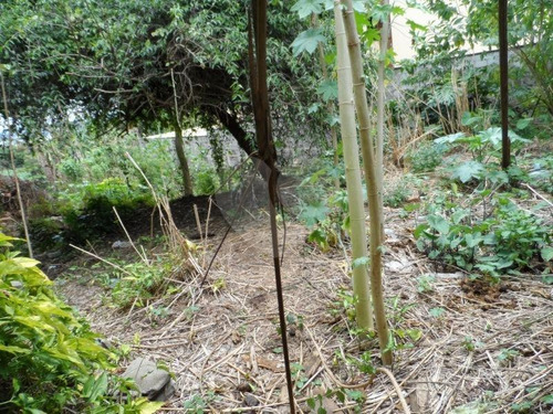 Imagem 13 de 15 de Raridade Terreno Pronto Para Construir No Bolsão De Interlagos - Reo74558