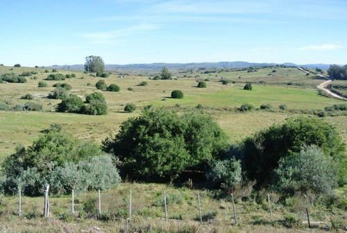 Quinta En Venta De 4 Dormitorios En Sierra De Caracoles
