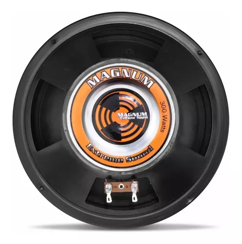 Mini Paredão Magnum 100w Rms 600w Rms Total Som Forte 8