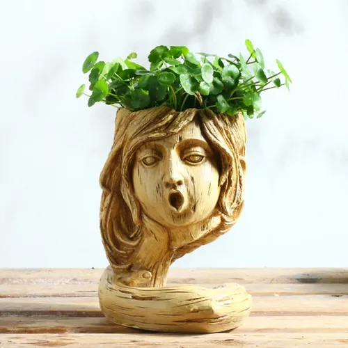 Maceta Para Flores Con Forma De Corazón, Suculentas, Maceta