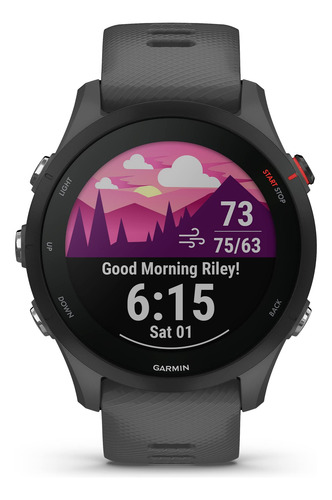 Reloj Inteligente Garmin Forerunner 255 Gps Running Slate Gr